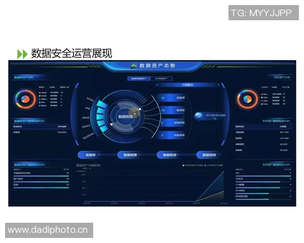 数据库管理系统:企业数据资产的重要基石,市场需求持续增长