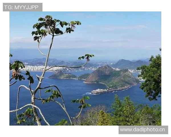 塞拉亚足球俱乐部签下巴西新秀将为球队带来新的希望和活力 塞拉亚足球俱乐部签下巴西新秀将为球队带来新的希望和活力